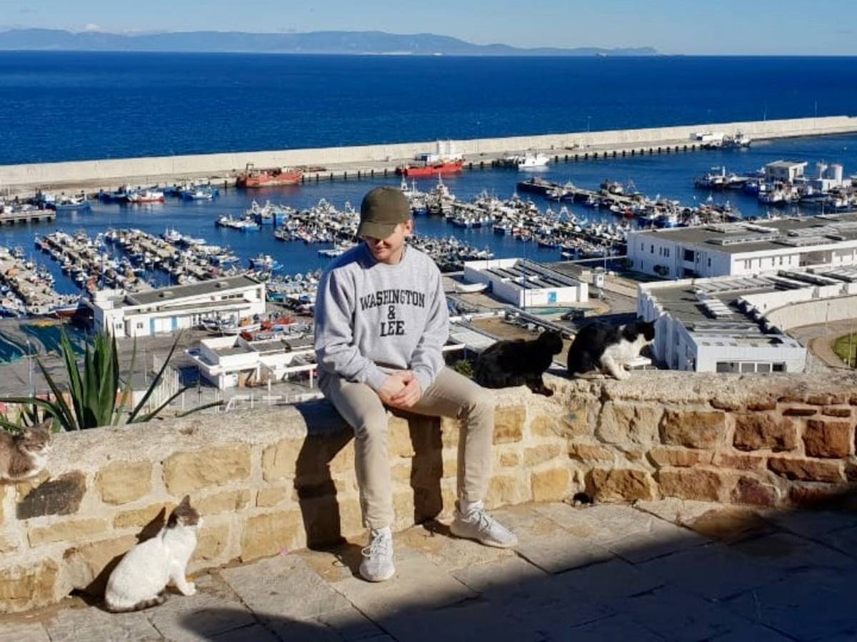 A student by the sea with cats around him