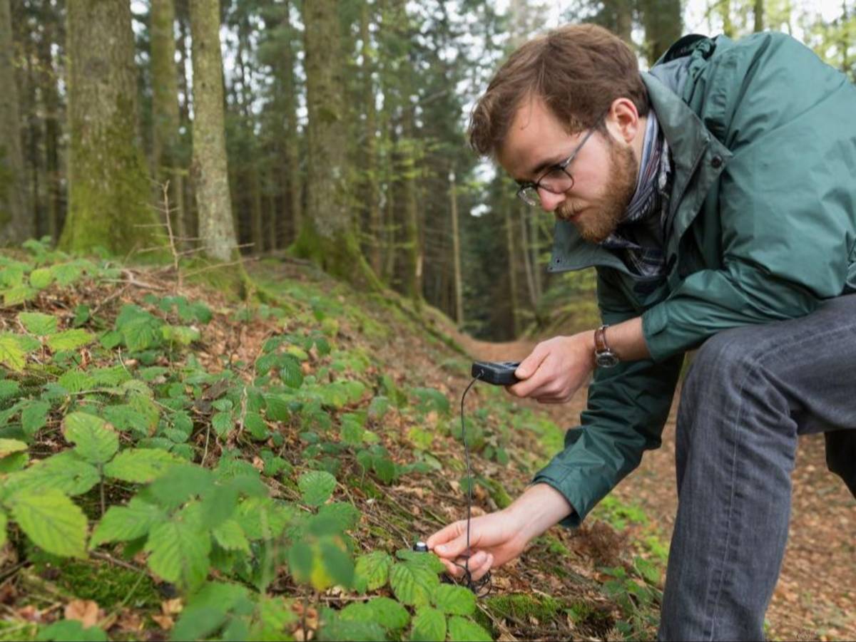 A student in a green raincoat catalogs the forest floor on a field trip to the Black Forest in Germany.