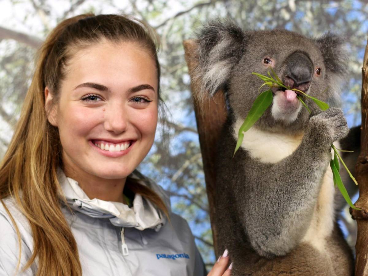 a student poses for a photo with a koala in a tree