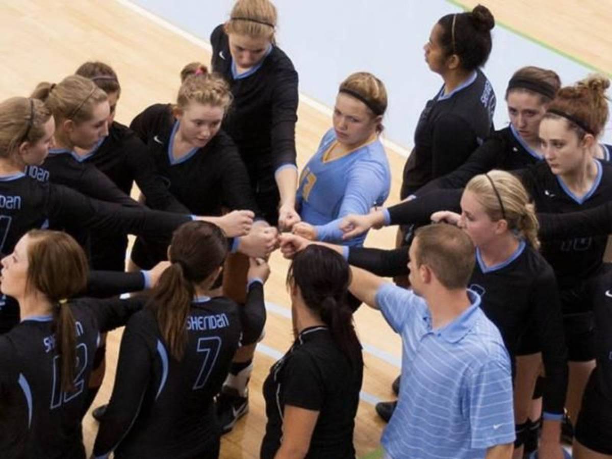 a team putting their hands together for camaraderie