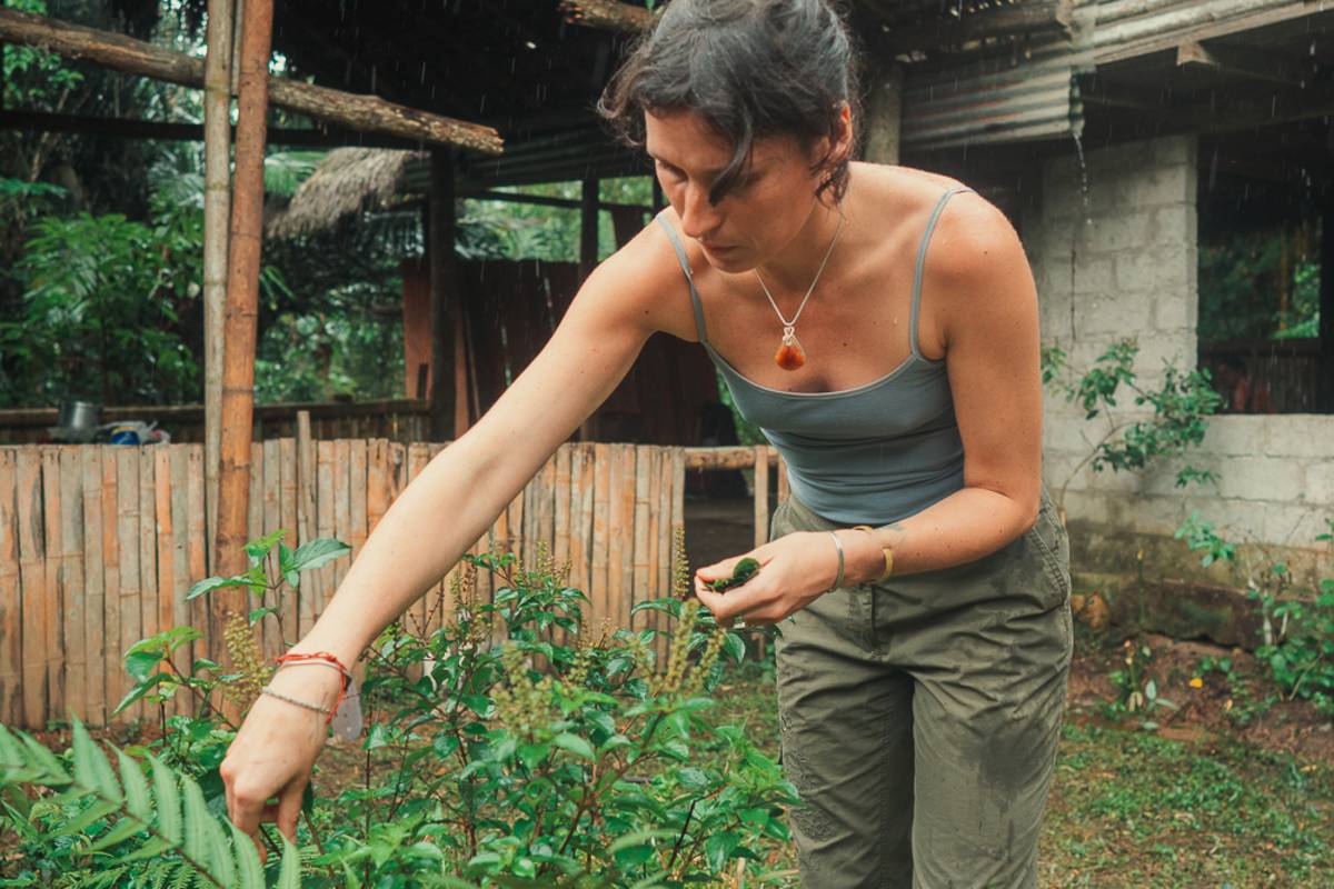 A woman picks herbs from a bush.