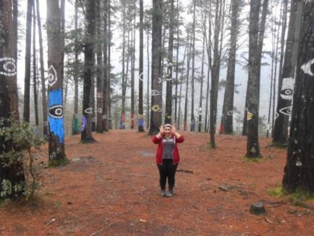 A woman standing amidst a forest of painted trees, creating a vibrant and surreal atmosphere.