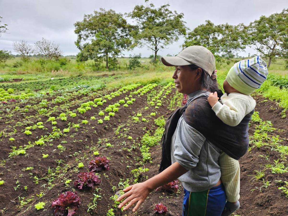 a woman tending to a green field while carrying a baby on her back