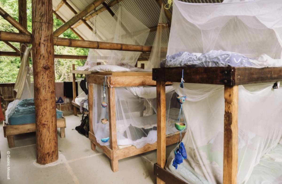 Accommodation of Sea Turtle Conservation Internship in Costa Rica