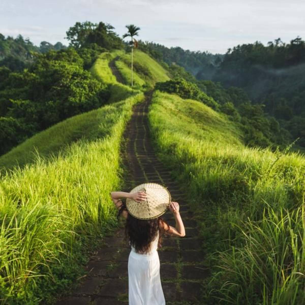 Rice Field Ridge Walk
