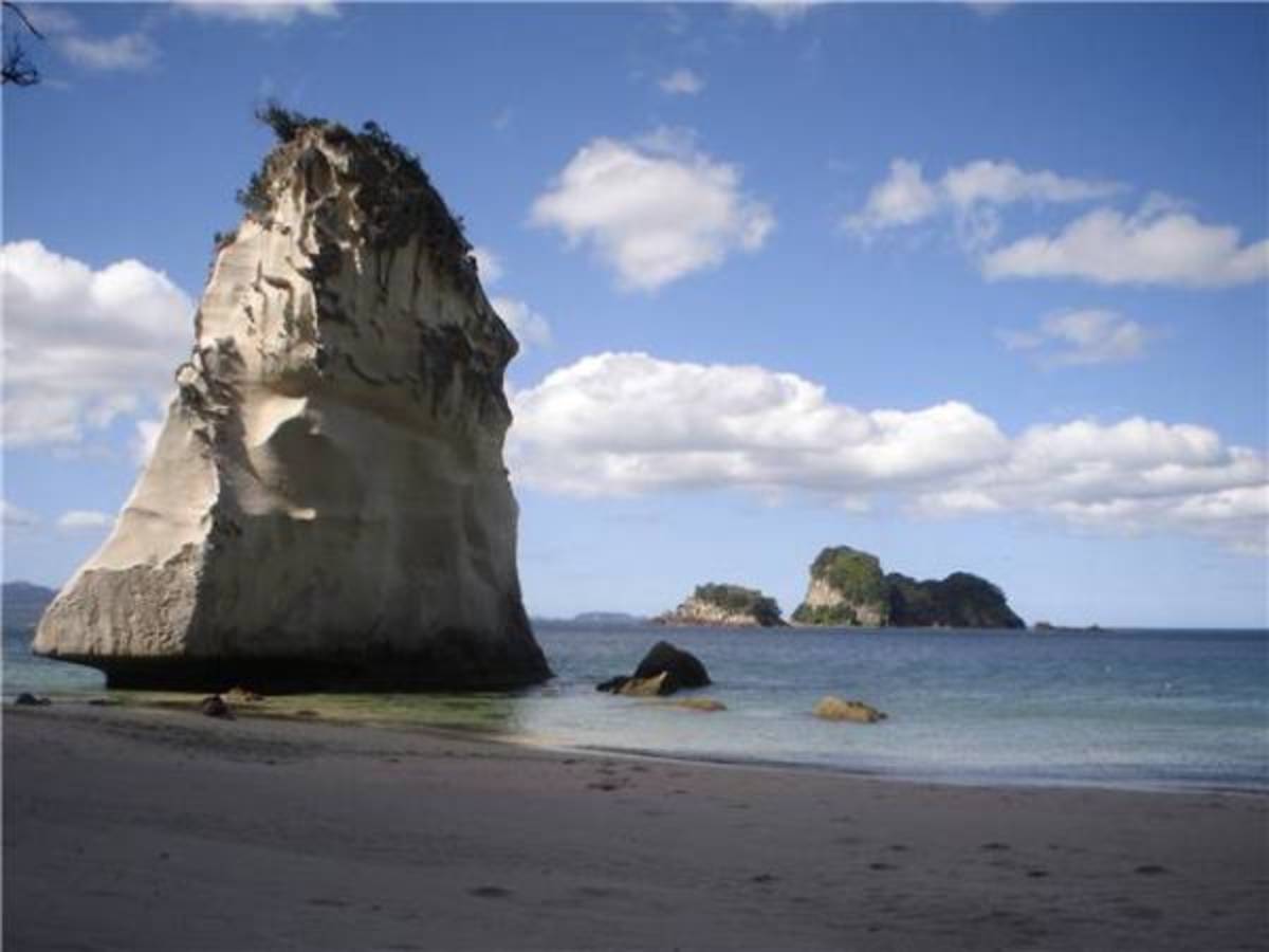 USAC New Zealand: Auckland - Full Curriculum — photo 2