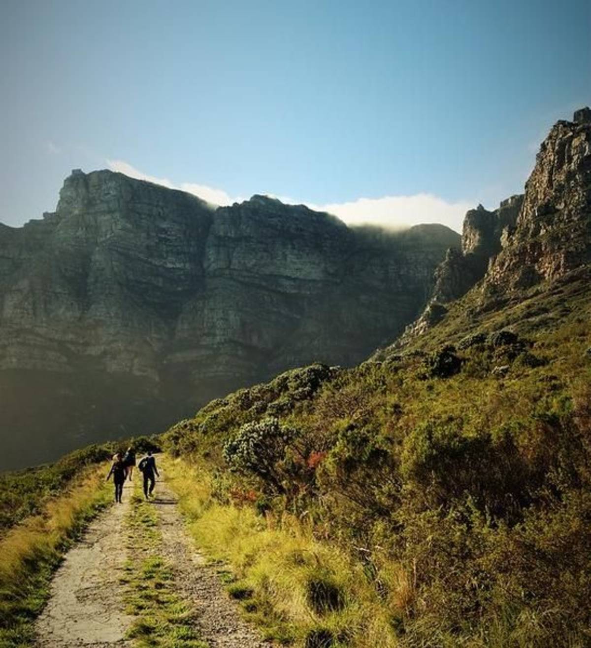Landscape of Mountains in South Africa
