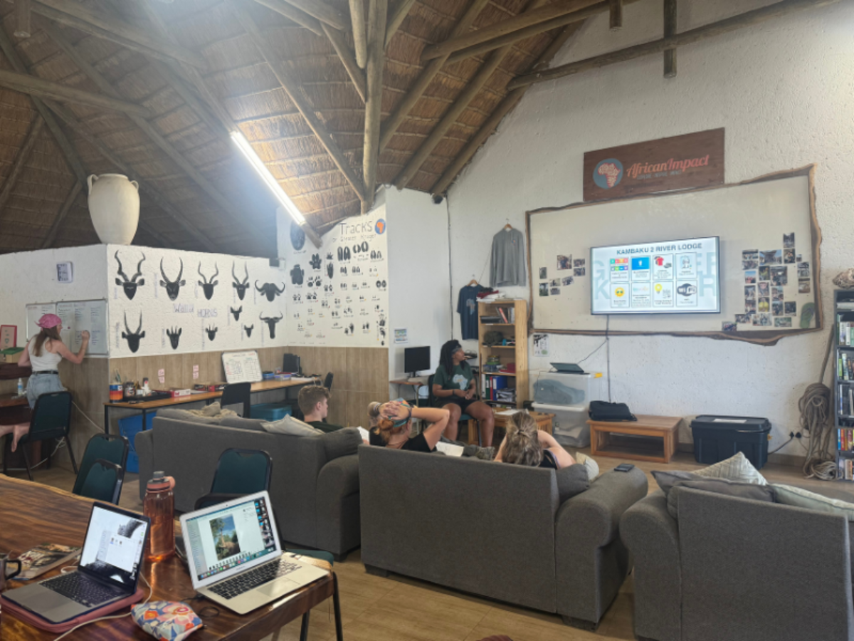 African Big 5 and Wildlife Conservation in South Africa