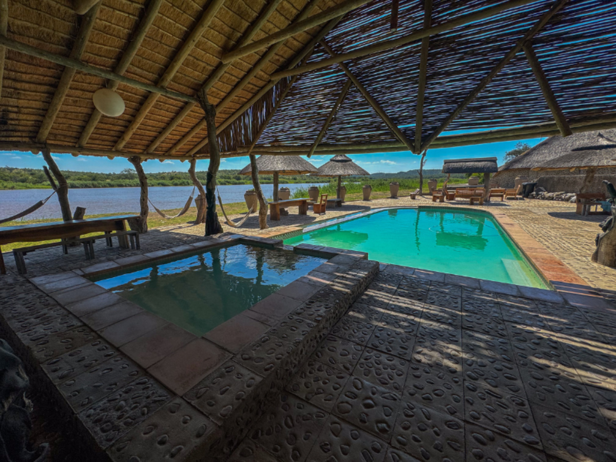 African Big 5 and Wildlife Conservation in South Africa