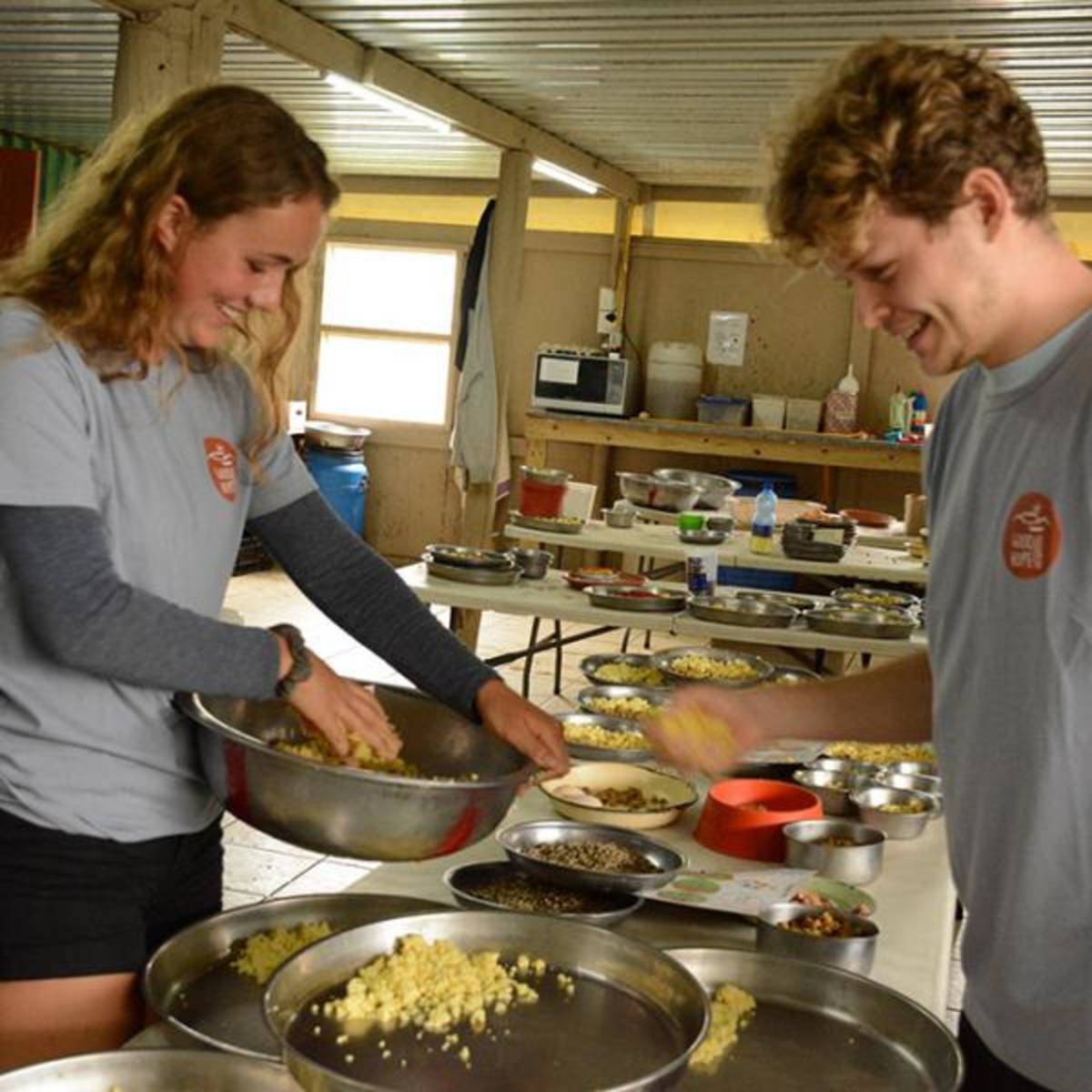 Conservation and volunteering in South Africa
