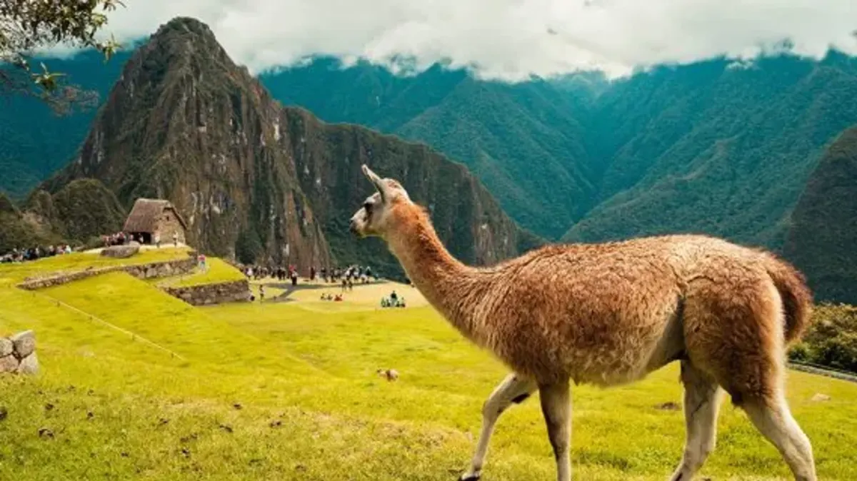 AFS-USA in Peru