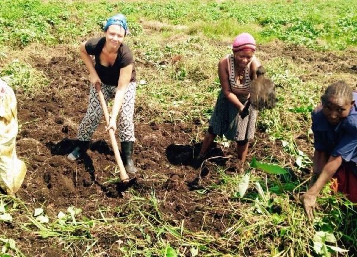 Volunteering on a communal garden in Uganda