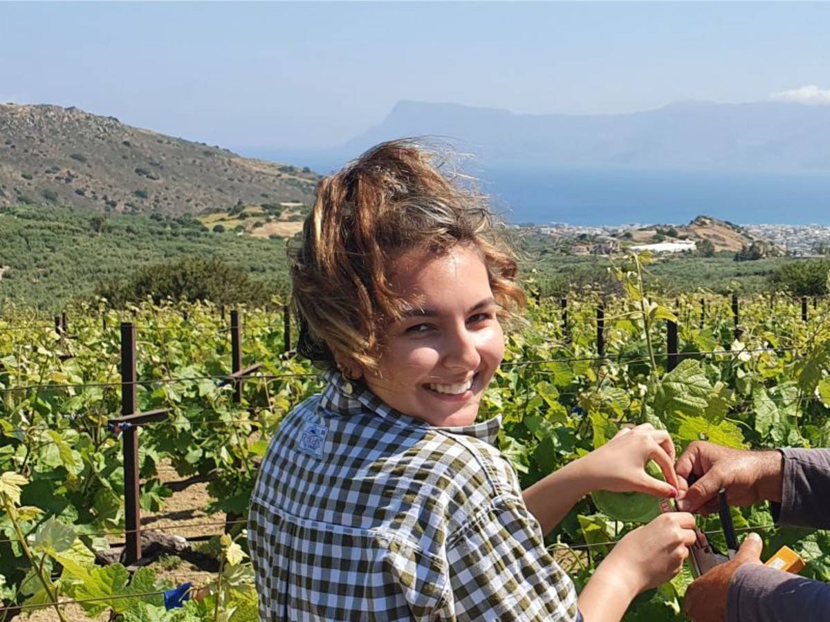 Agriculture Internship