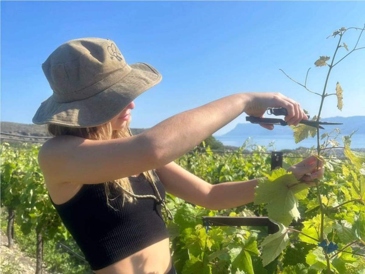 Agriculture Internship