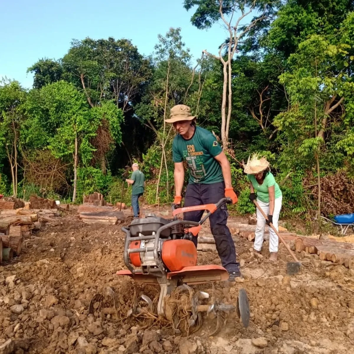 agrofloresta