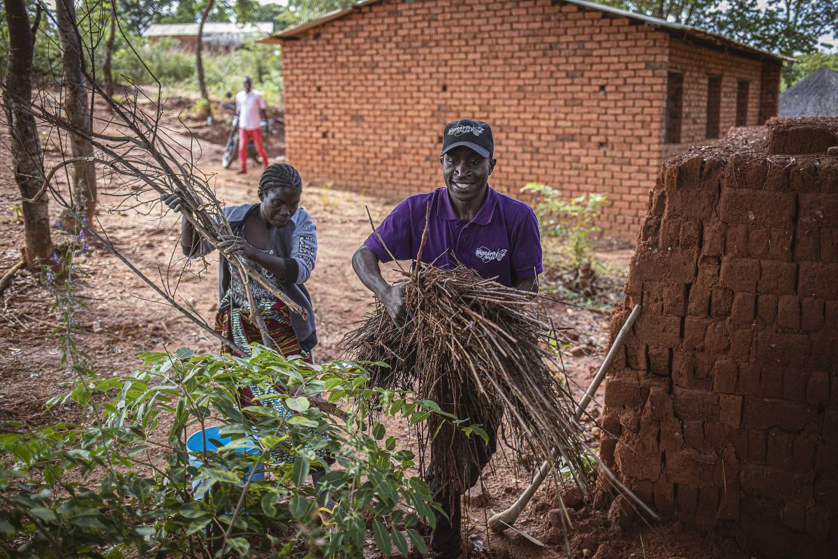 Agroforestry Internship