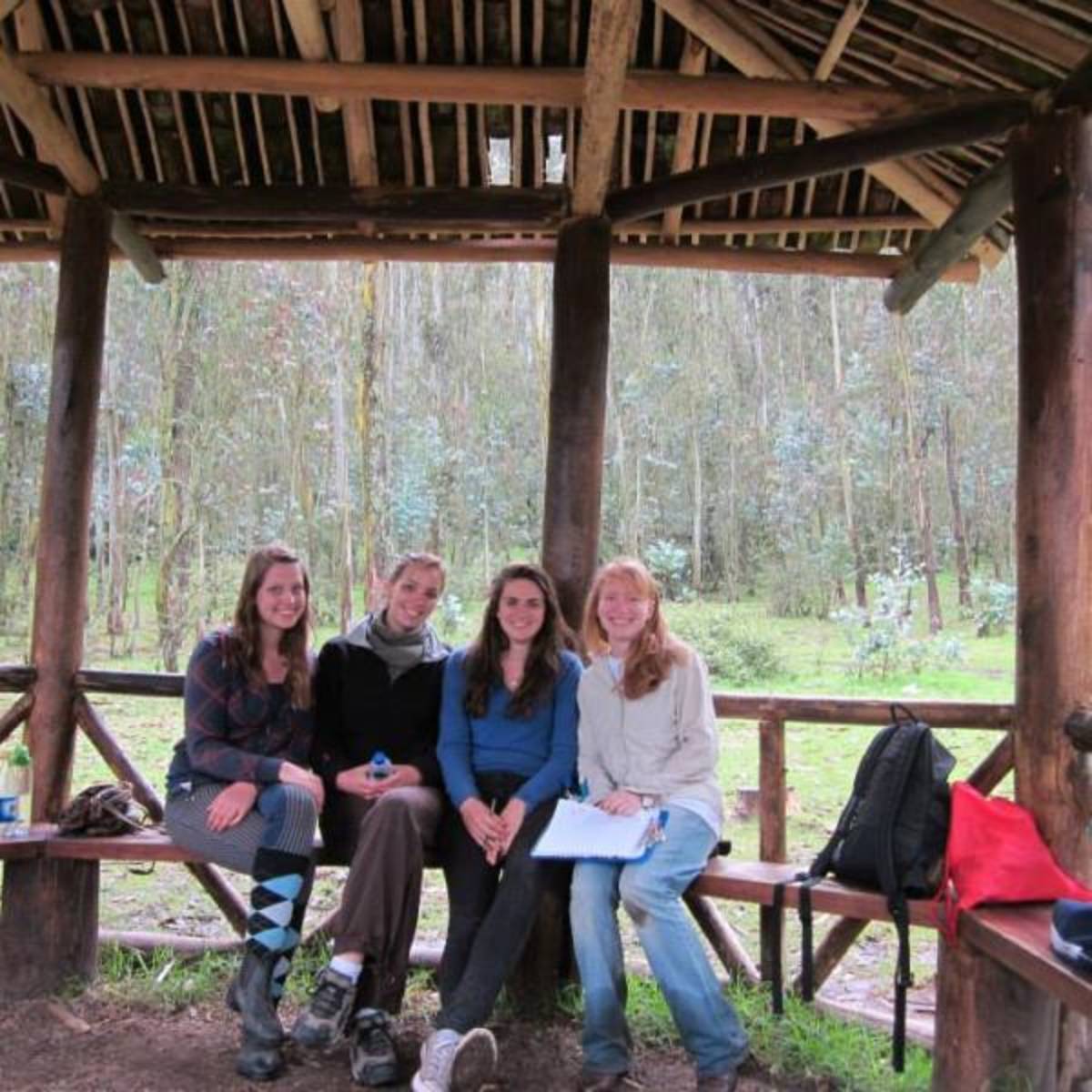 Animal Therapy Program in Ecuador with Love Volunteers!