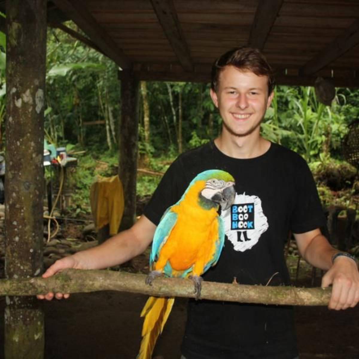 Volunteer in the Amazon Rainforest