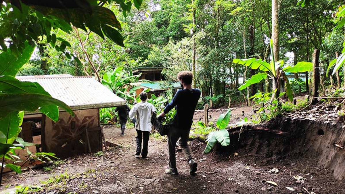 AMIGOS volunteers supporting a local organization in Costa Rica