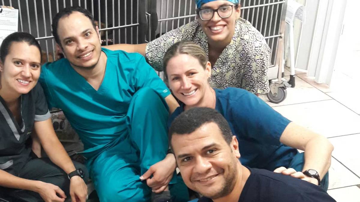 Animal Care Volunteers at a Dog Shelter in Costa Rica