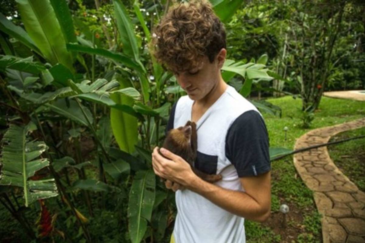 Animal Rescue and Conservation