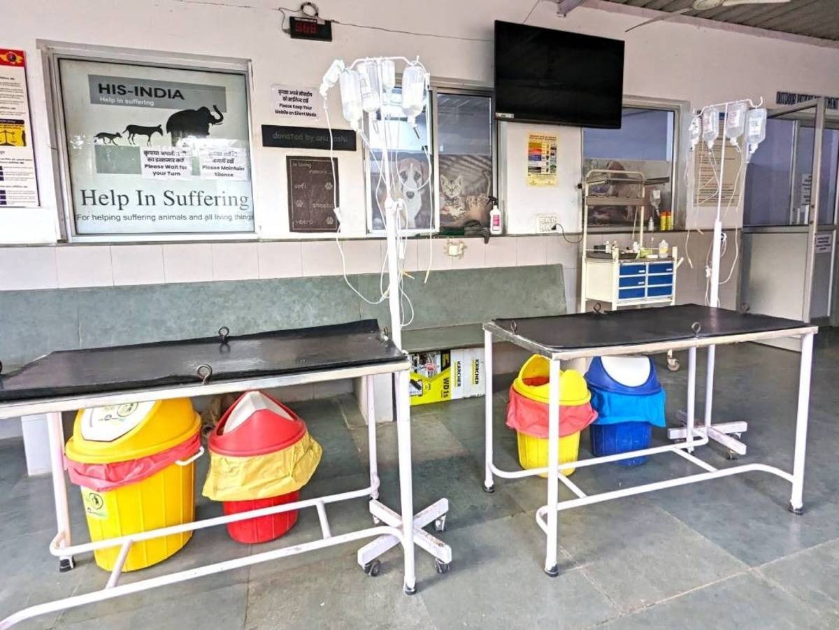 Animal Shelter and Animal Hospital in Jaipur, India