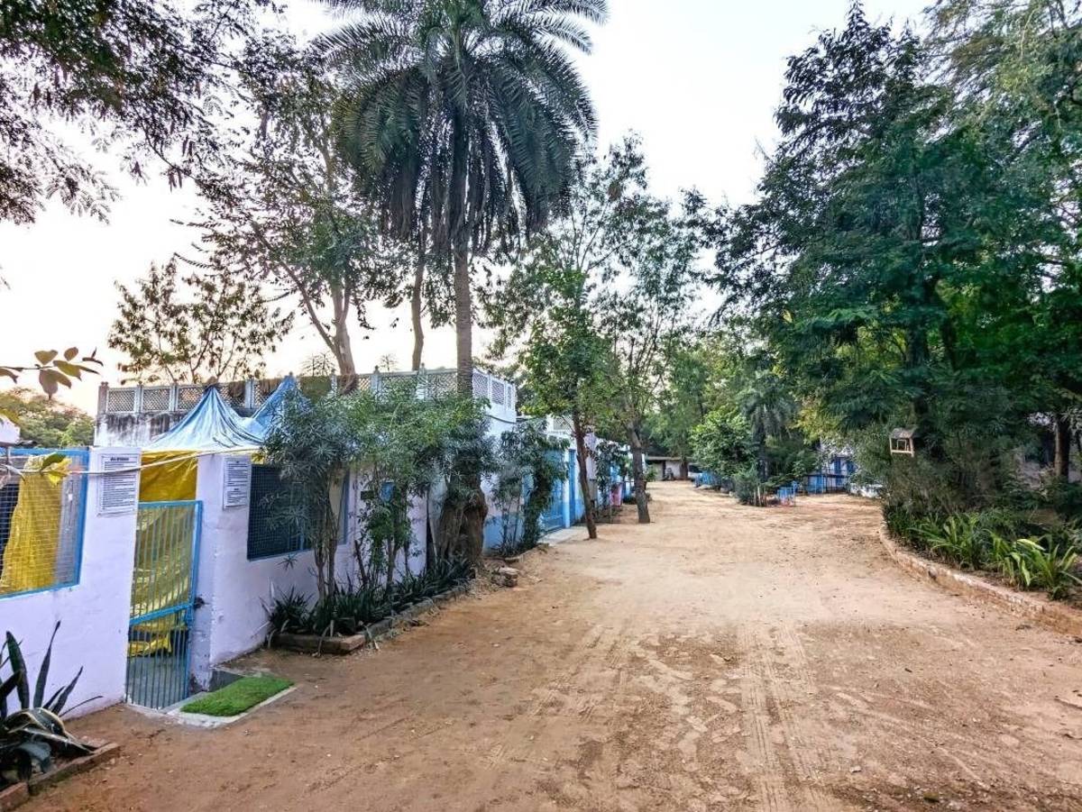 Animal Shelter and Animal Hospital in Jaipur, India