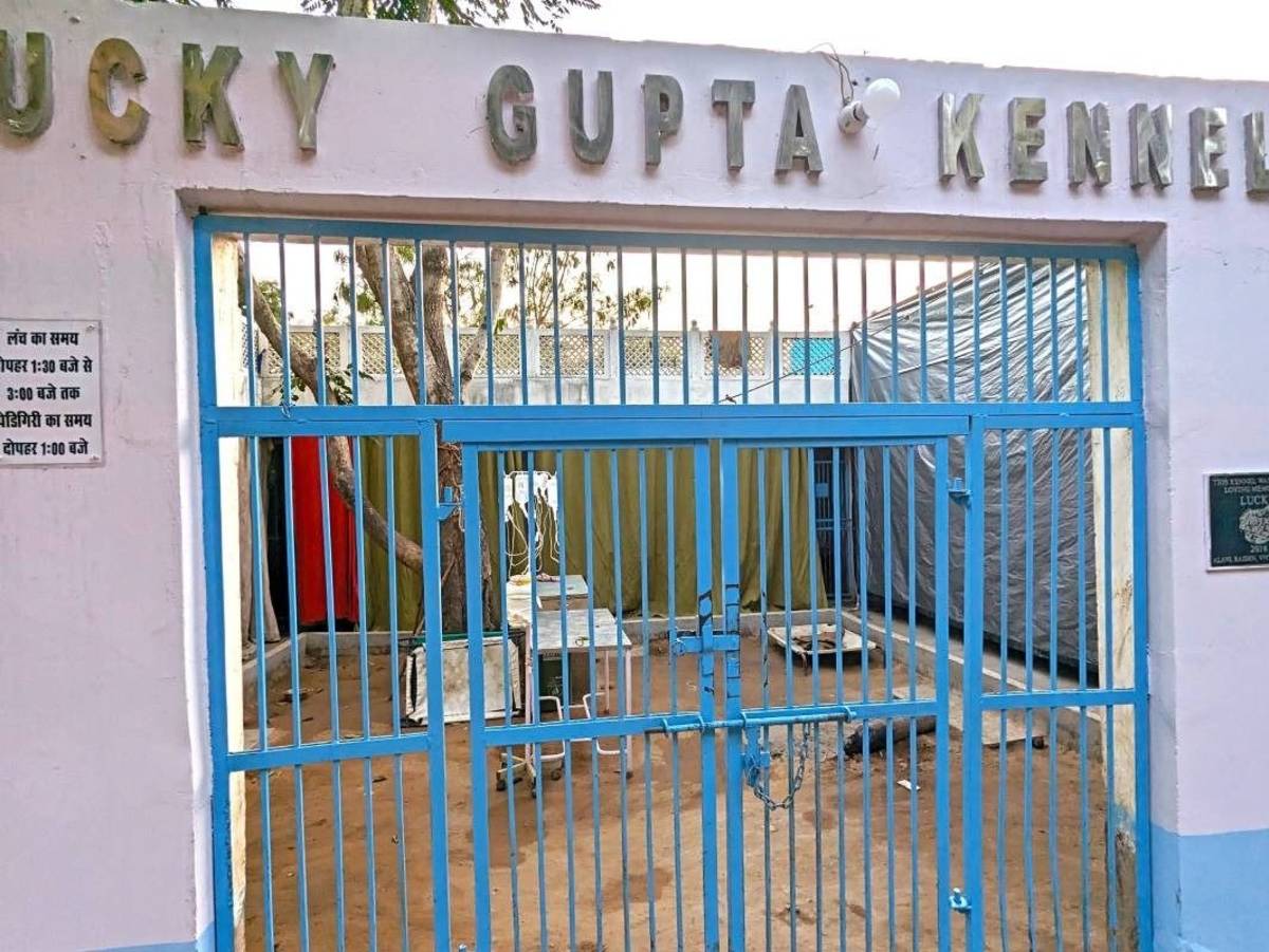 Animal Shelter and Animal Hospital in Jaipur, India