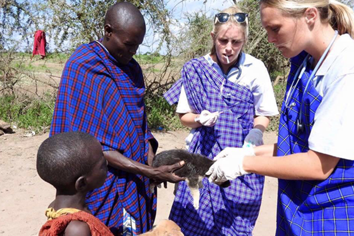 Animal Welfare Volunteering