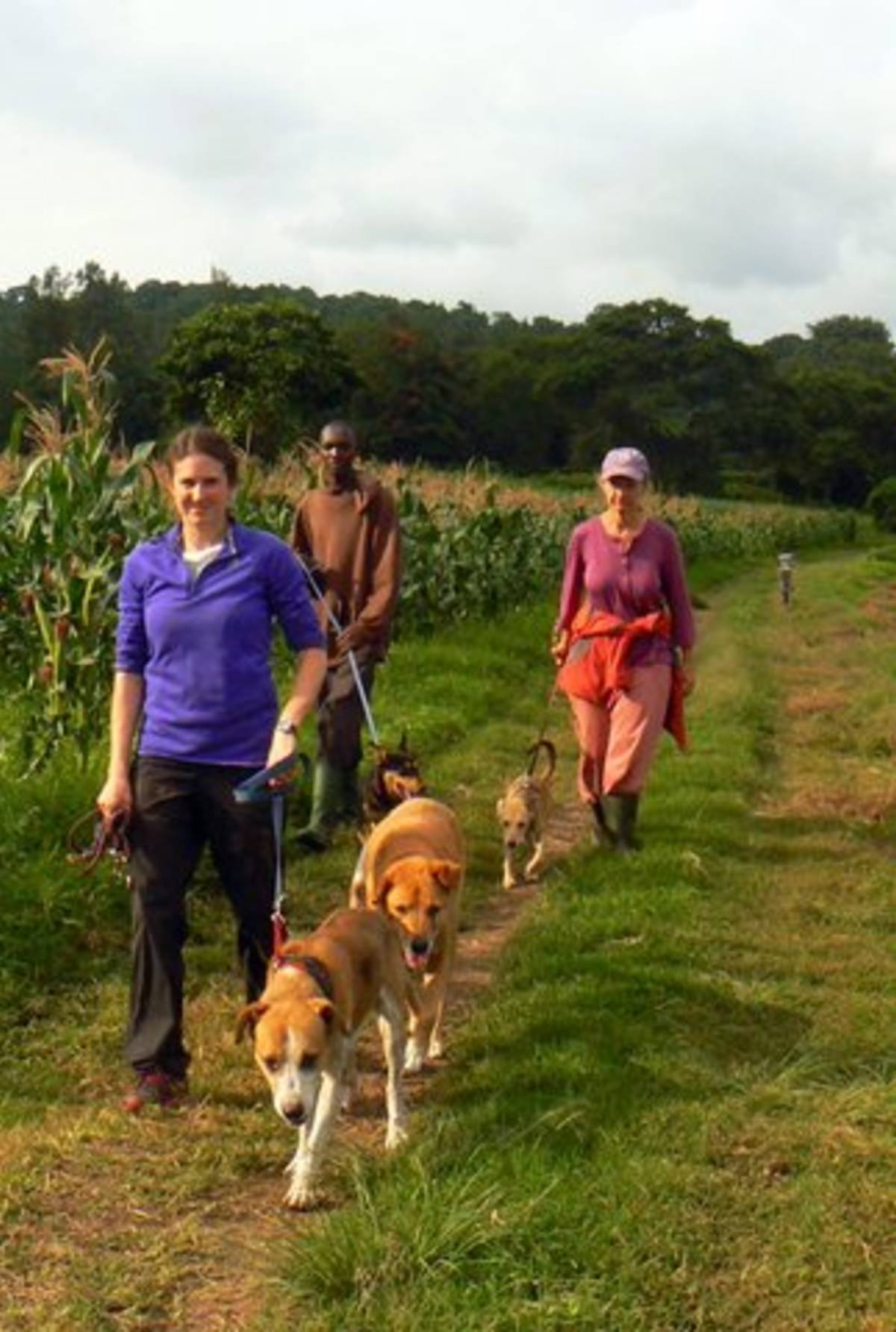 Animal Welfare Volunteering