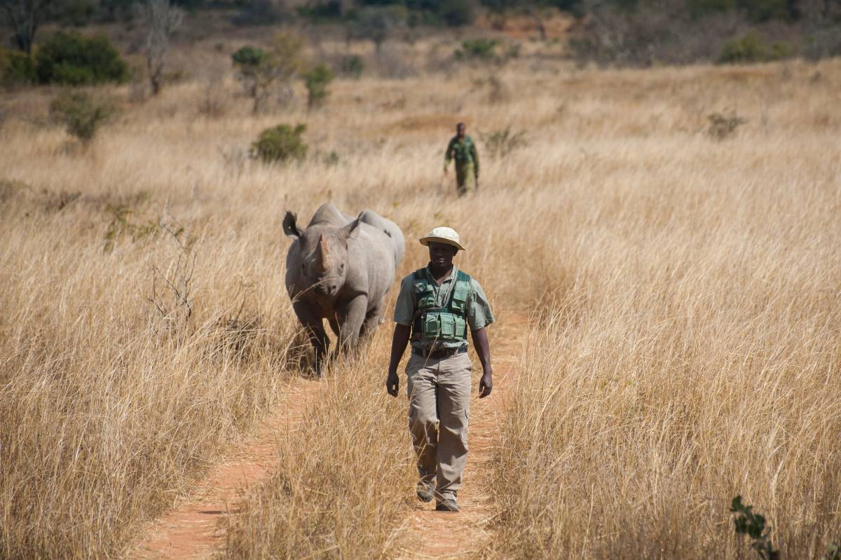 Anti-poaching Rhino