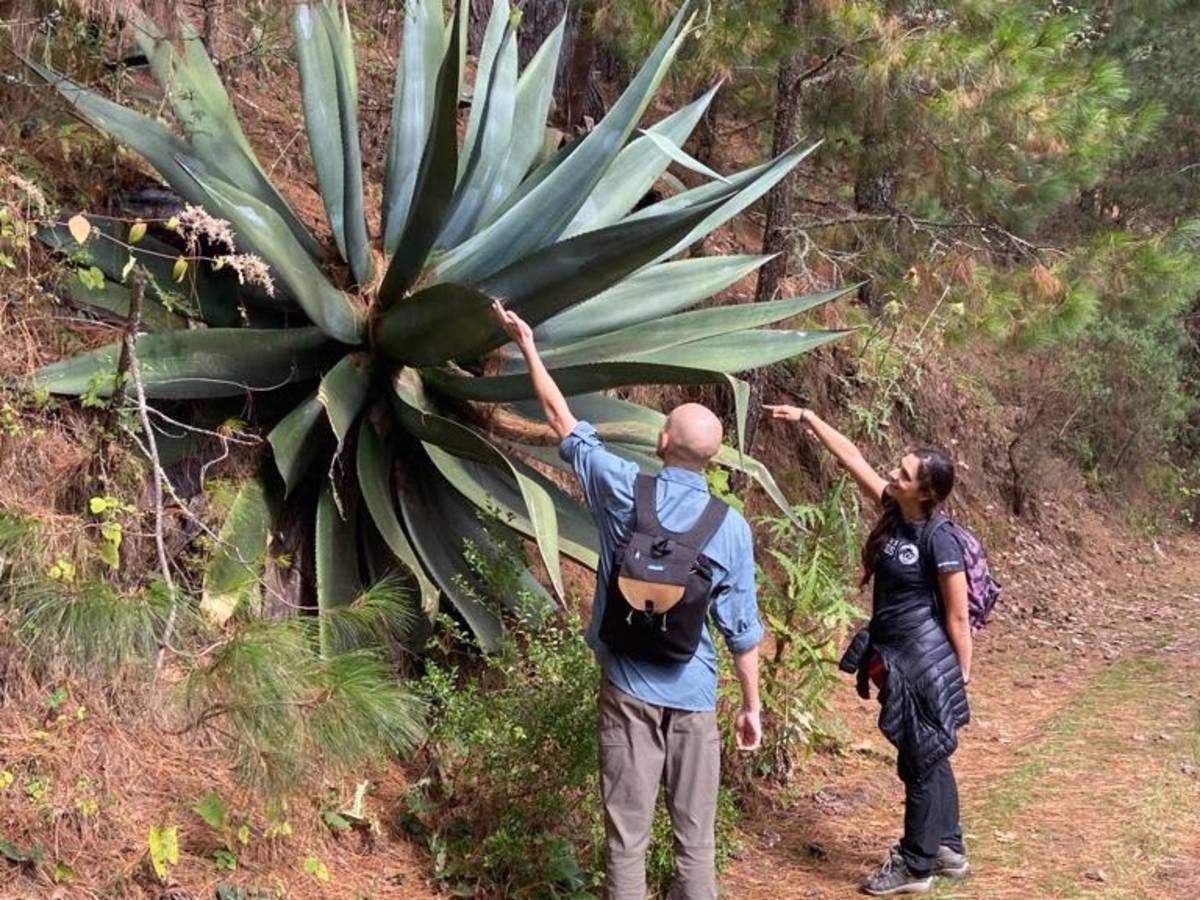 Arcos Journeys Abroad