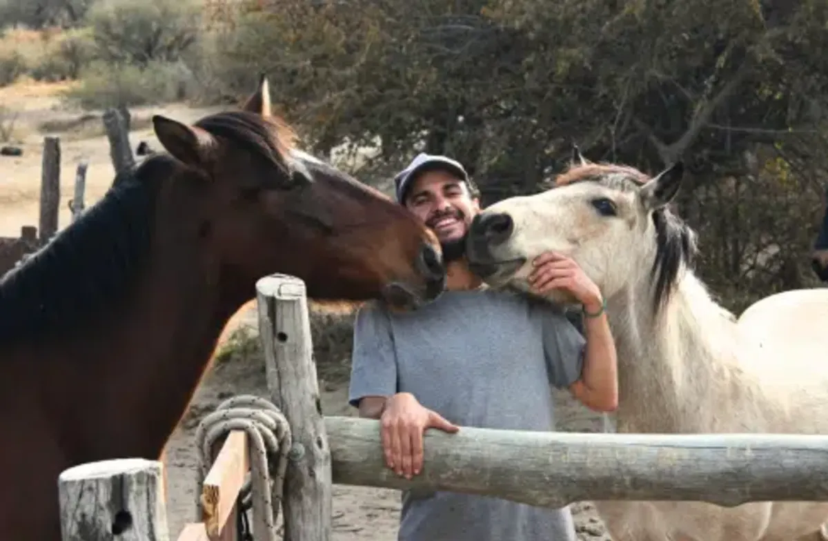 Argentina – Horse Volunteer & Animal Sanctuary