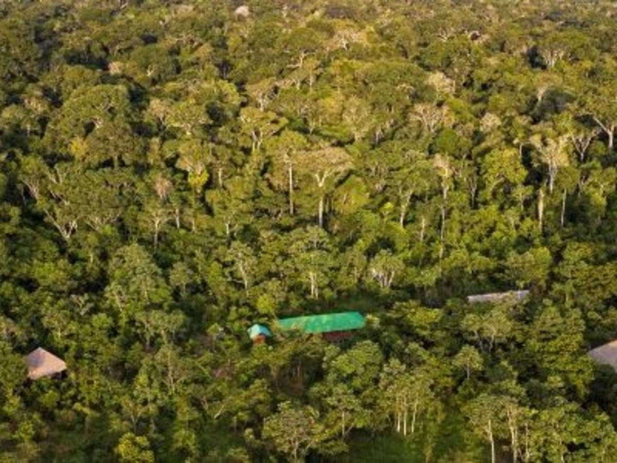 ASA's field station Finca Las Piedras located in the Peruvian Amazon