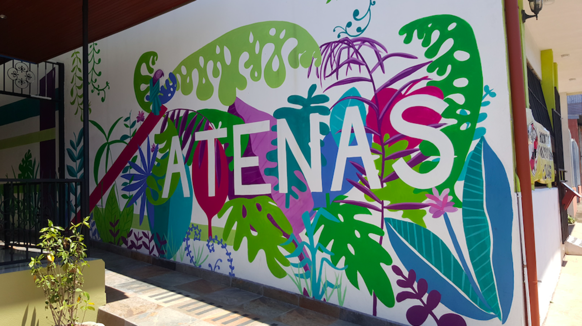Costa Rican mural