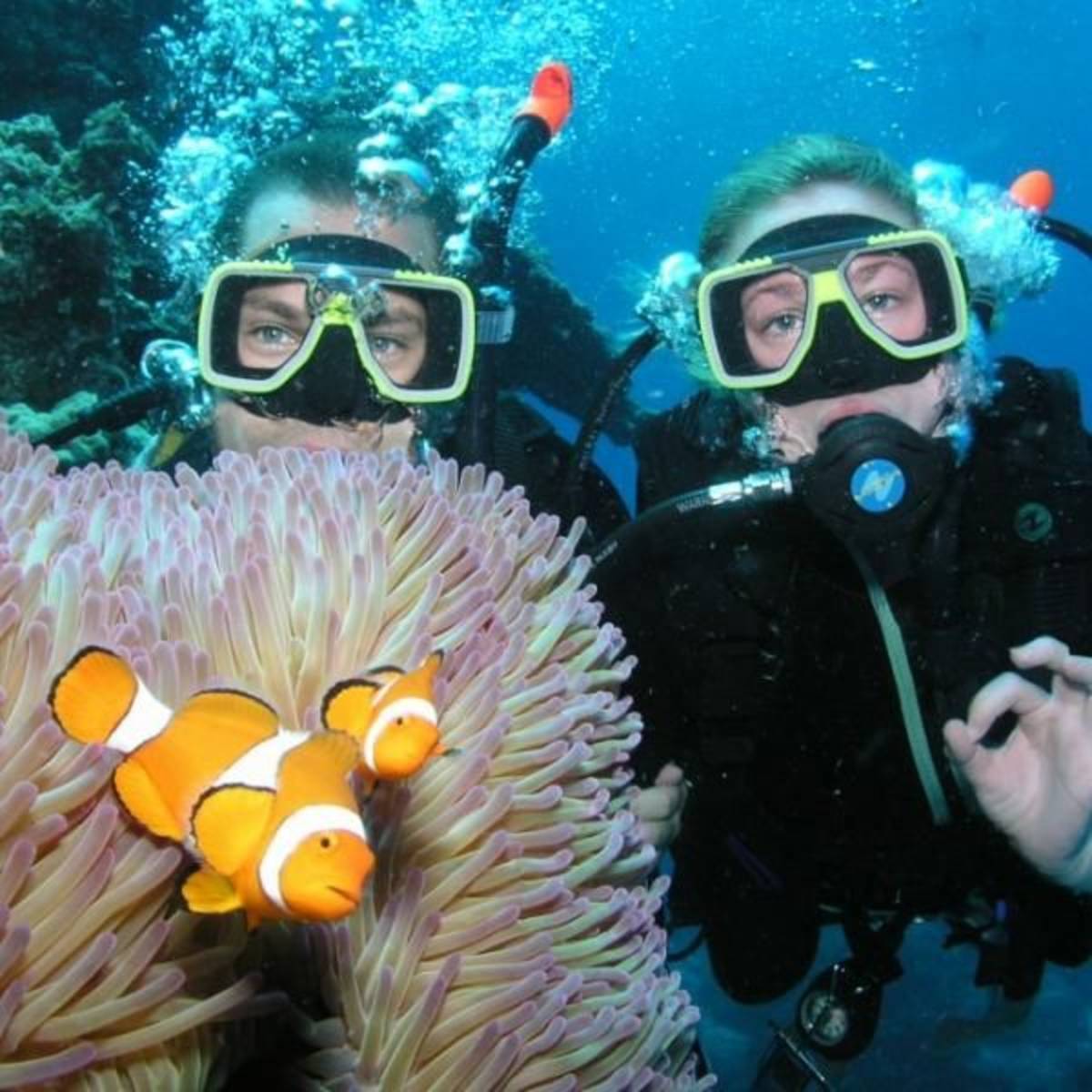 GoEco Australia - Great Barrier Reef Conservation