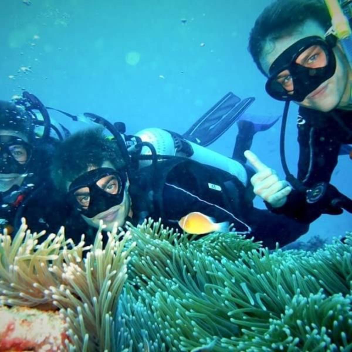 GoEco Australia - Great Barrier Reef Conservation