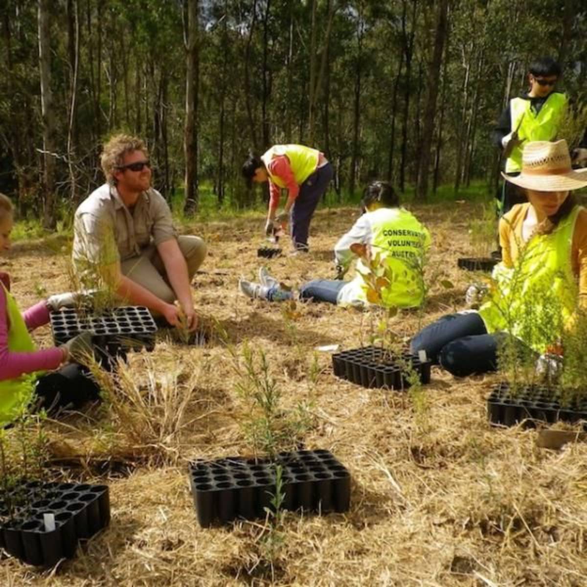 Volunteer in Environment Conservation