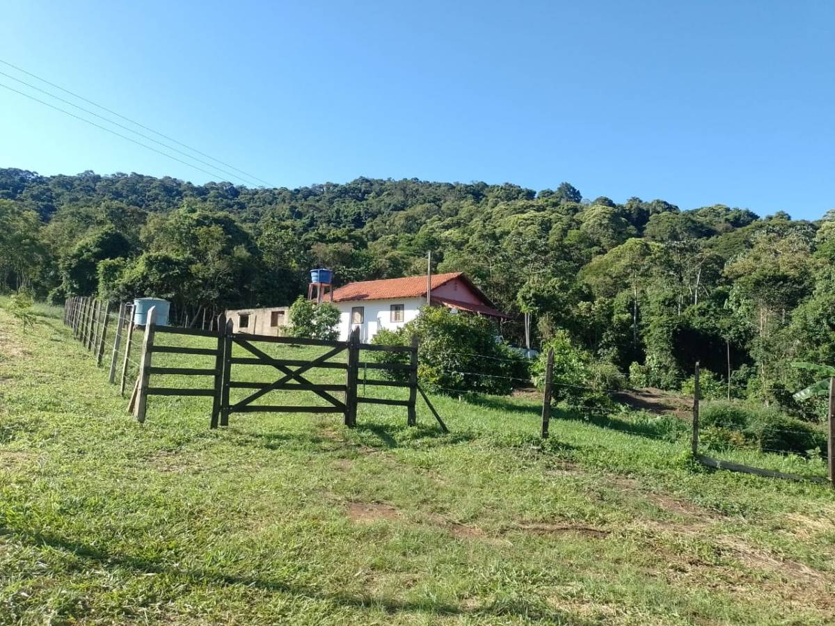 Avalon Farm