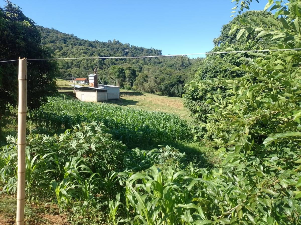 Avalon Farm