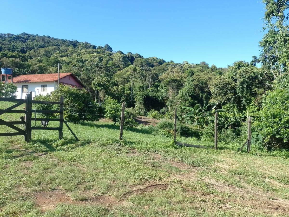 Avalon Farm