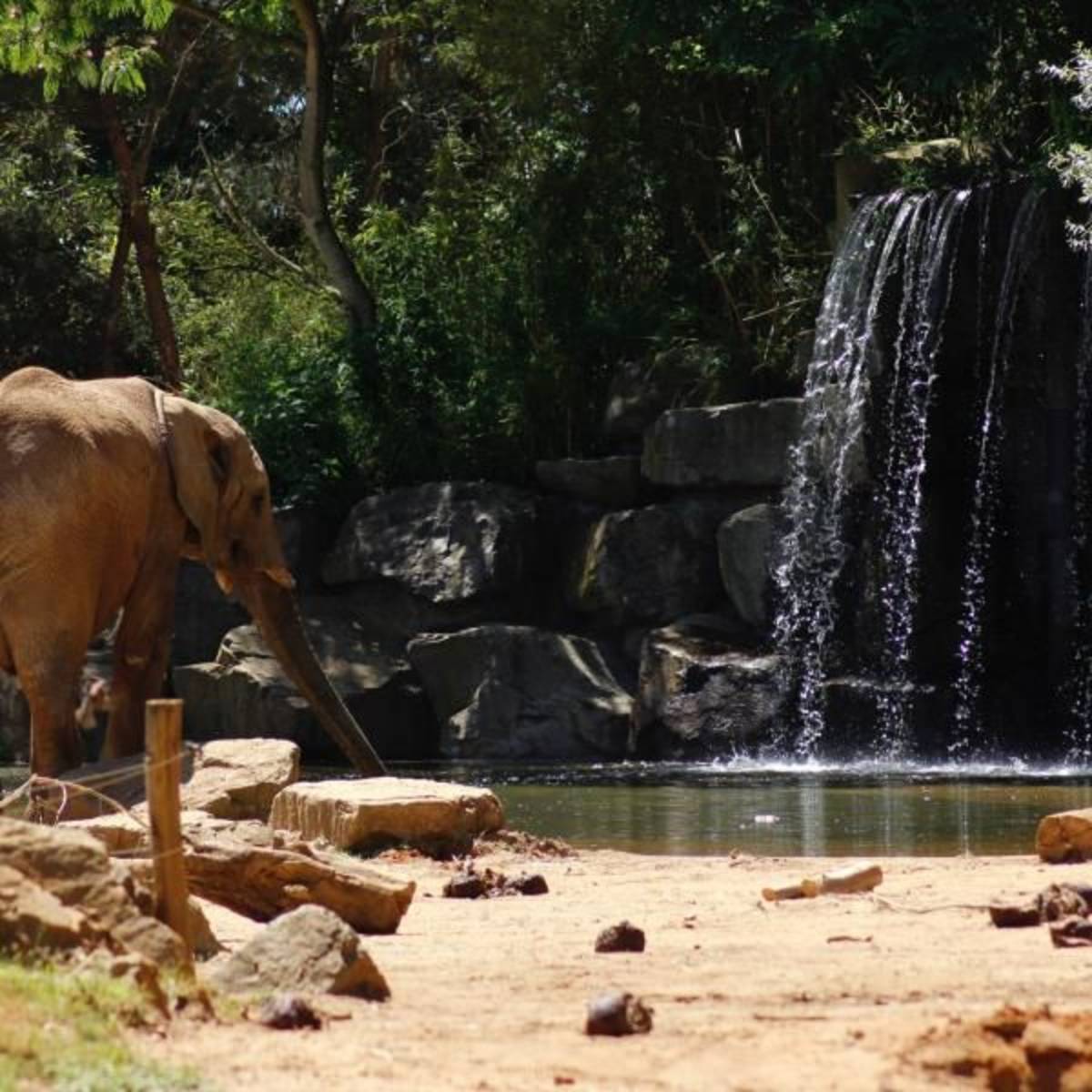Wildlife Park internships