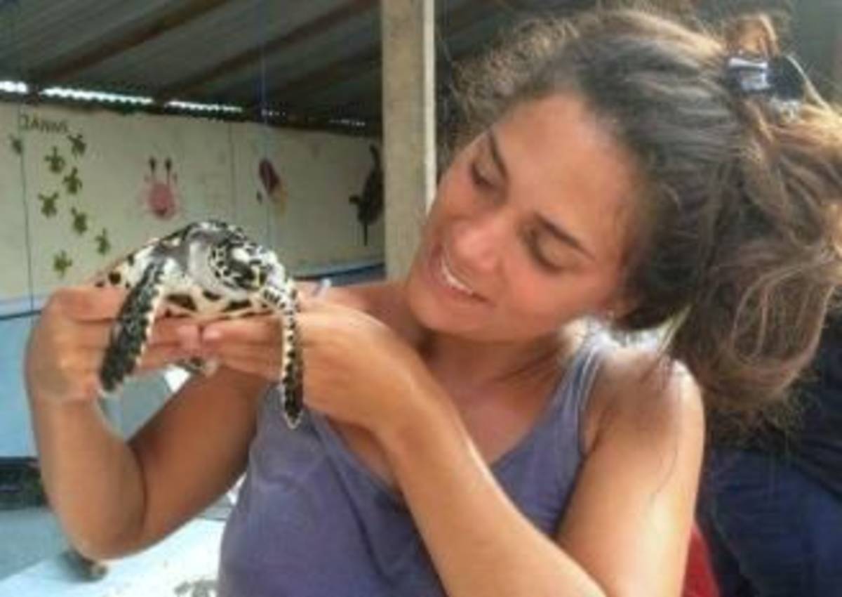GoEco Indonesia - Bali Sea Turtle Rescue