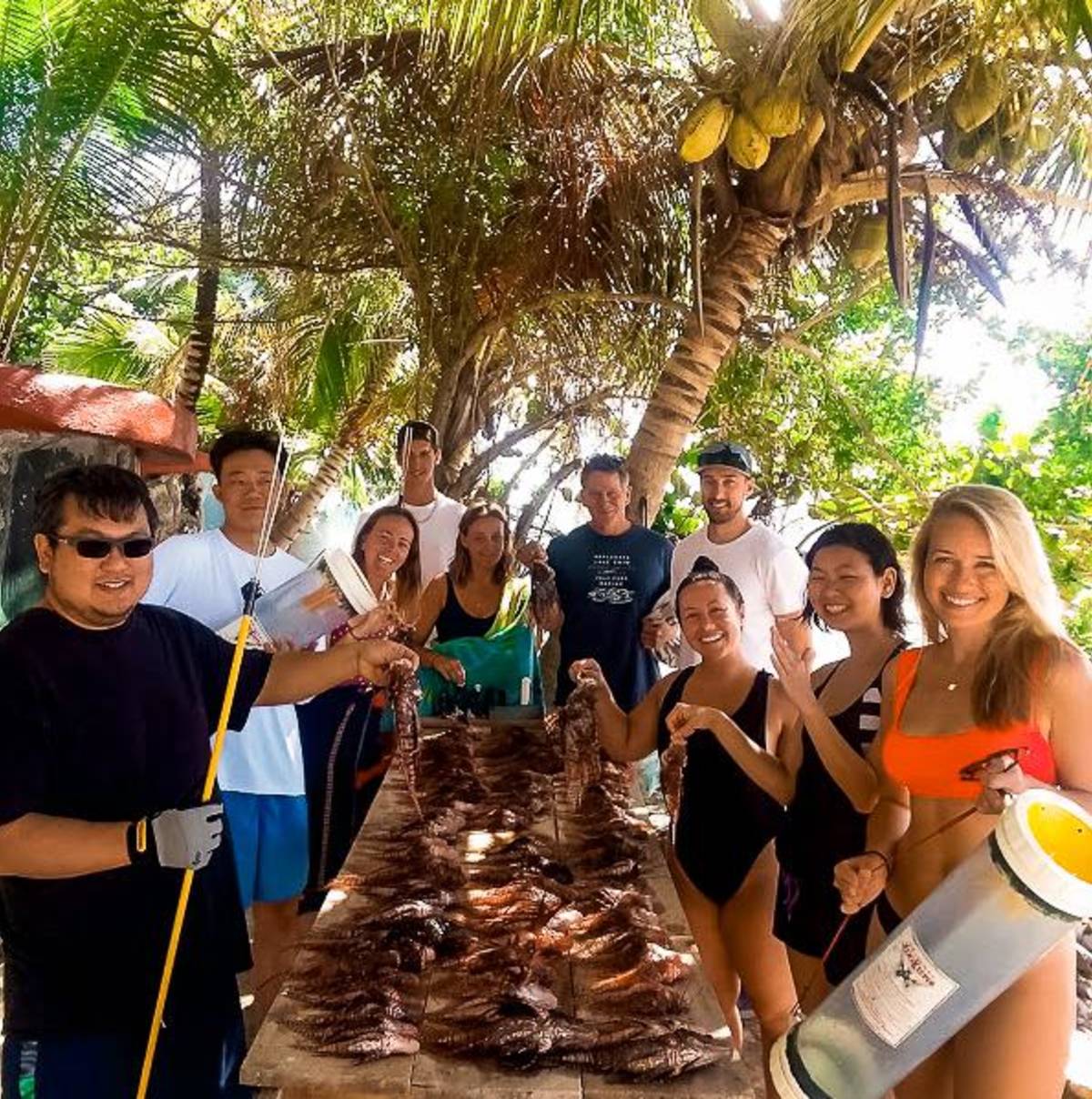 Volunteer in Belize with IVHQ