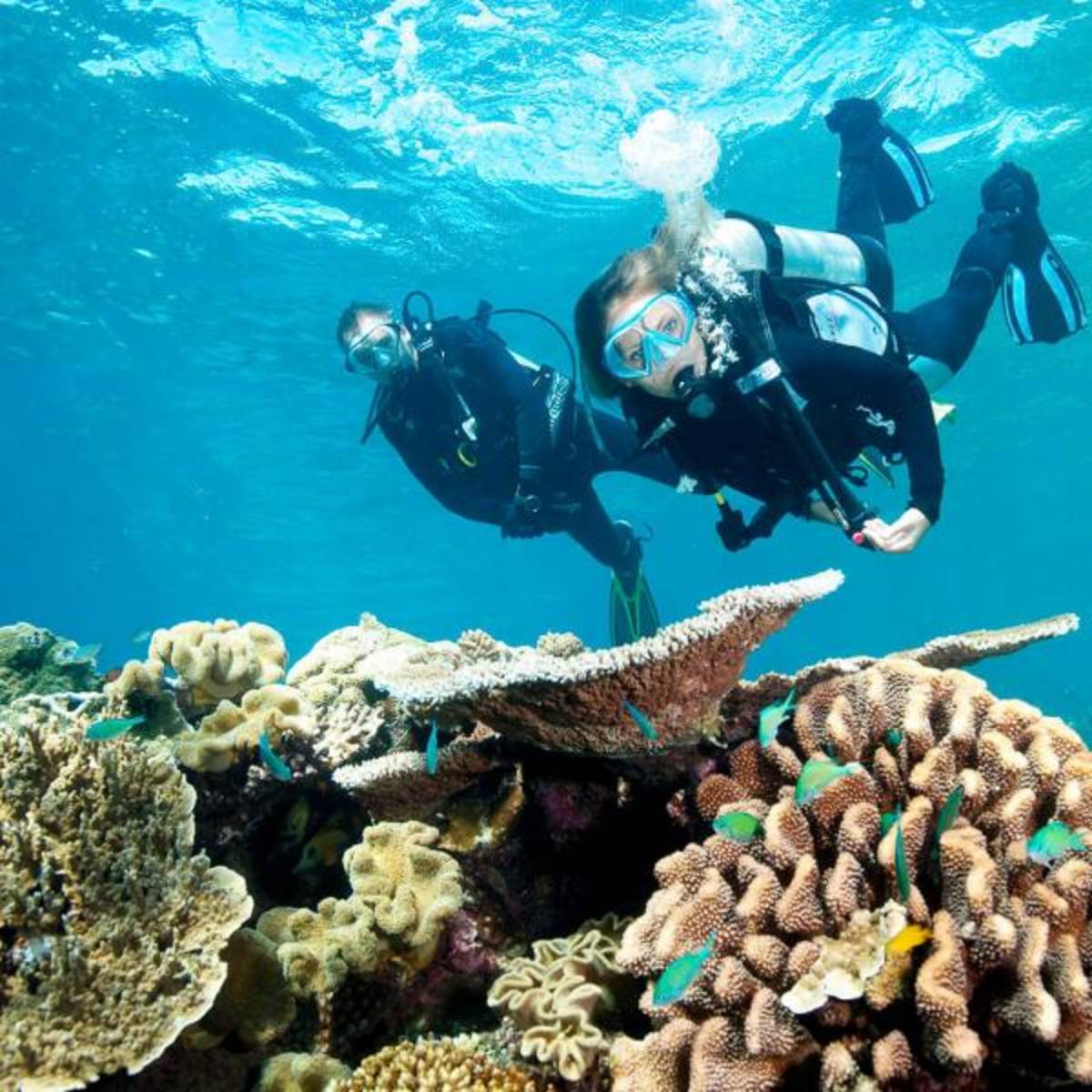 Volunteer in Belize with IVHQ