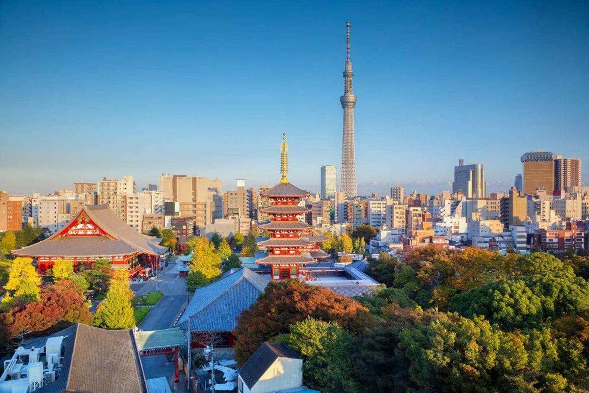 Tokyo internship with Beyond Academy