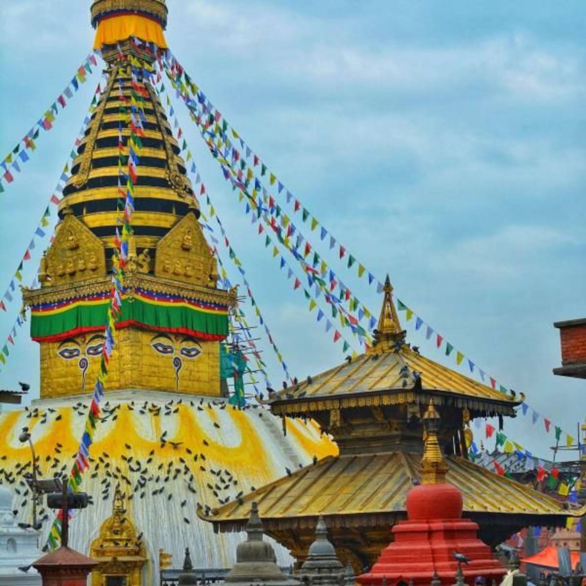 Nepal Interns