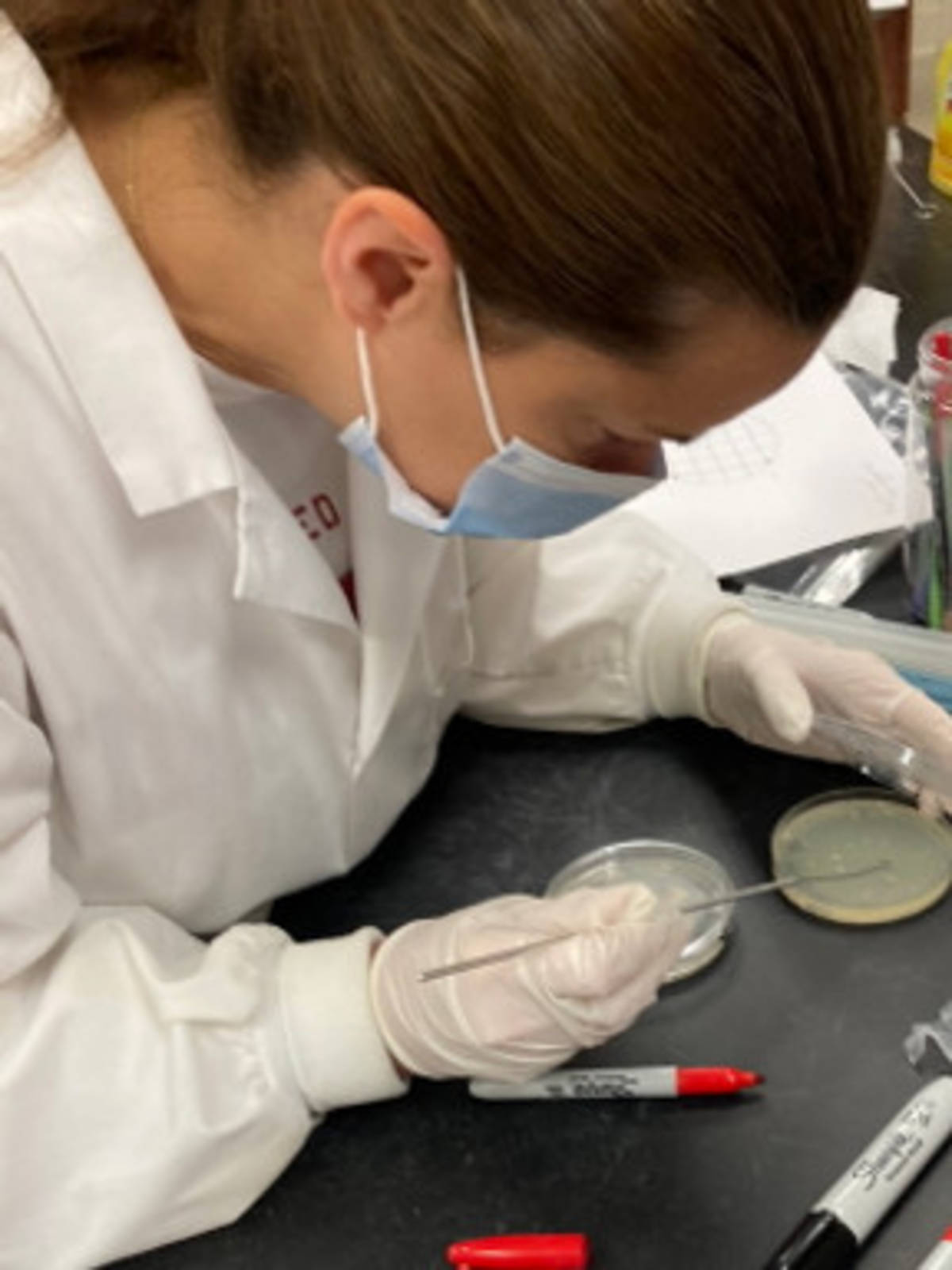 Bioinformatics - Genetics Research