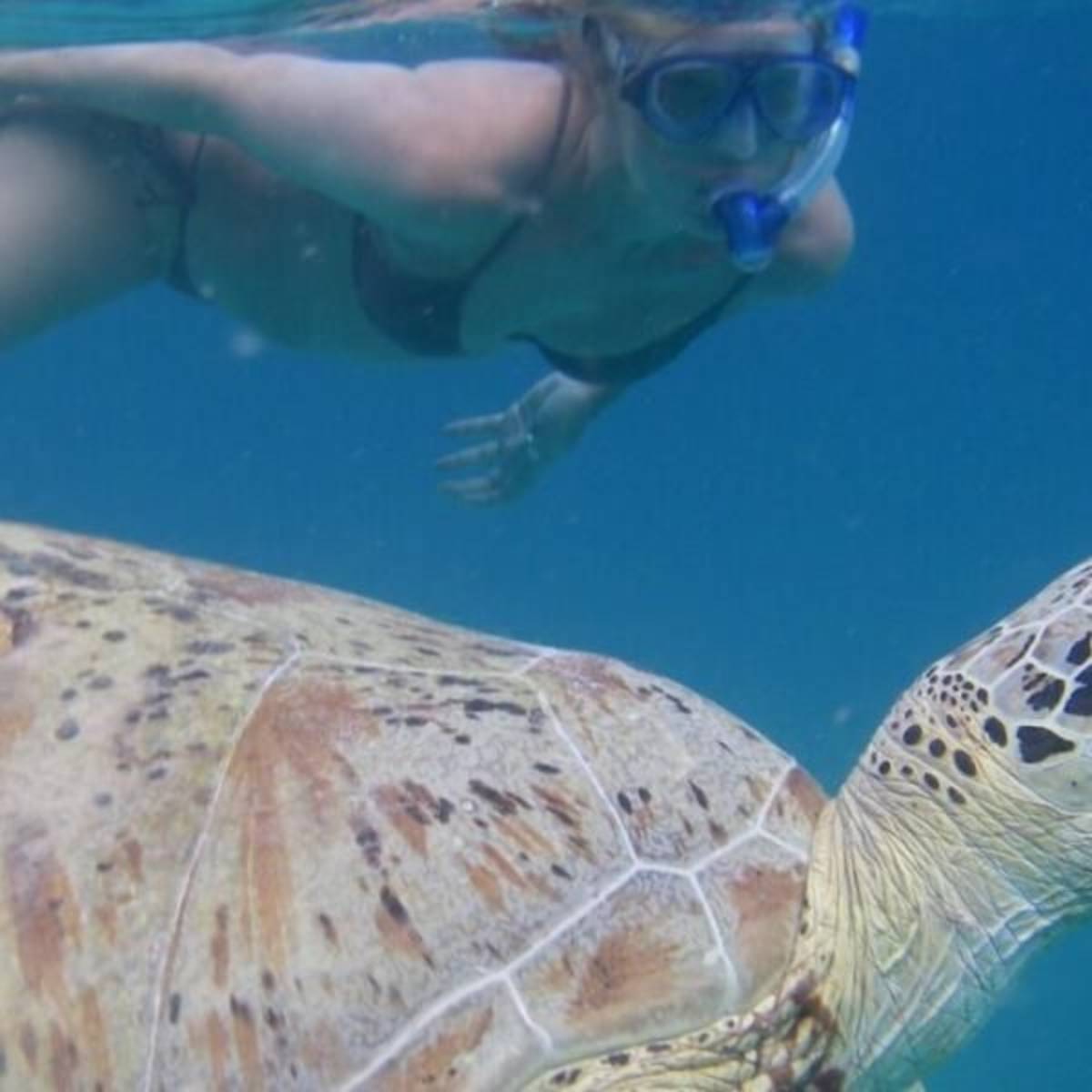 GoEco Malaysia - Jungle Trekking and Sea Turtle Conservation