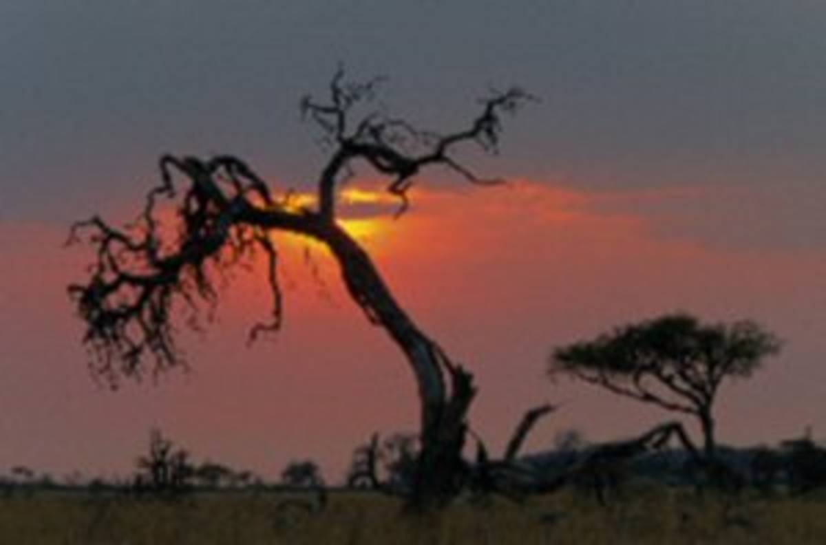 Study abroad in Gaborone, Boswana